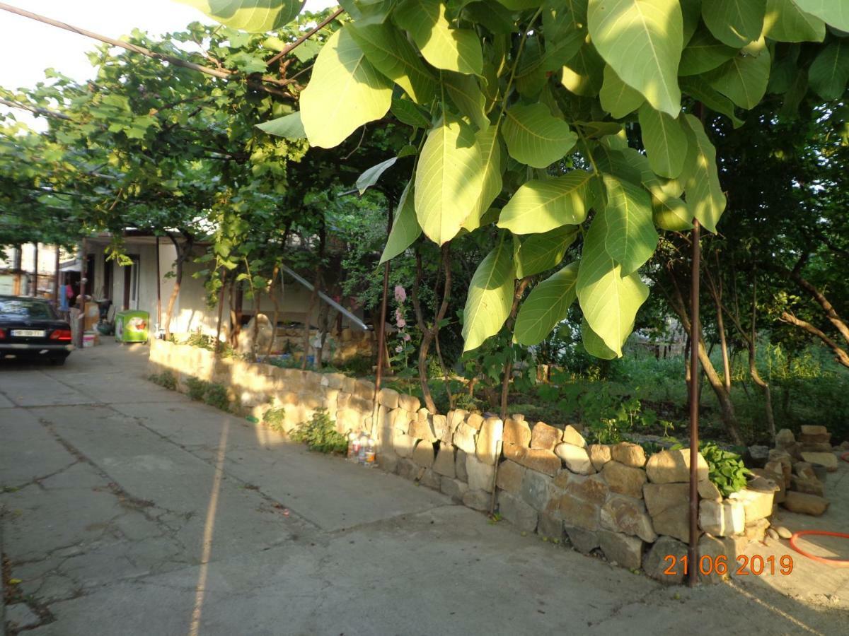 My Home Udabno Exterior foto