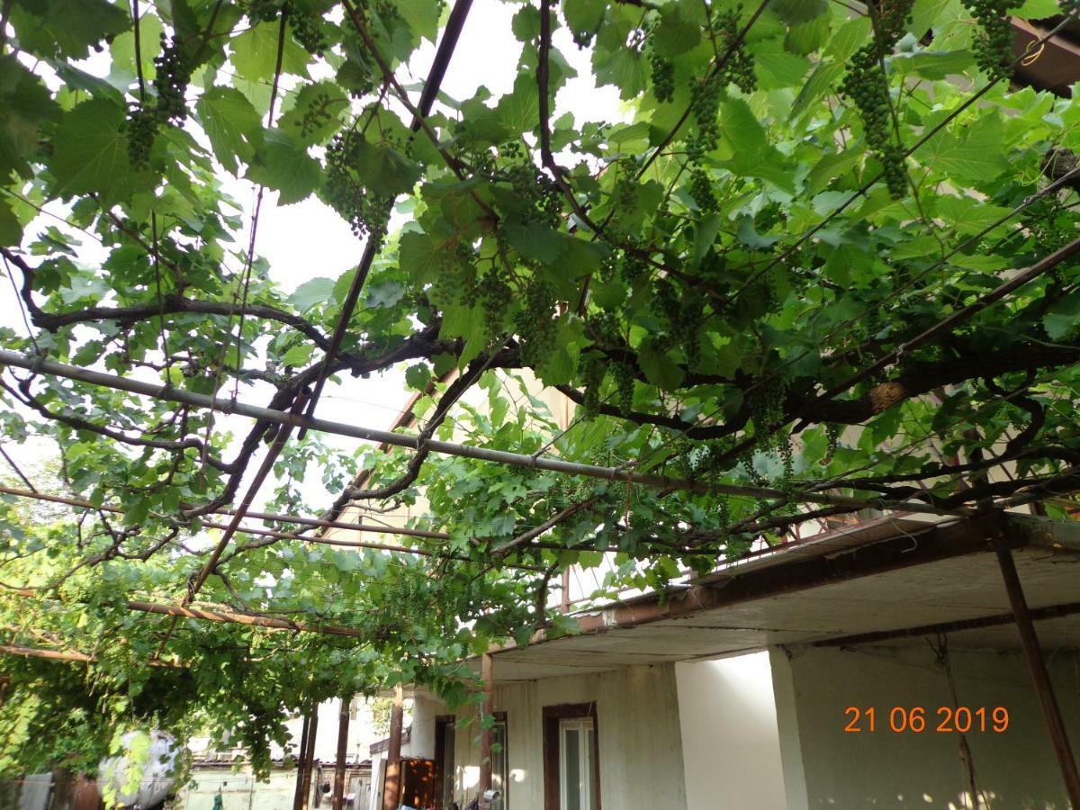 My Home Udabno Exterior foto